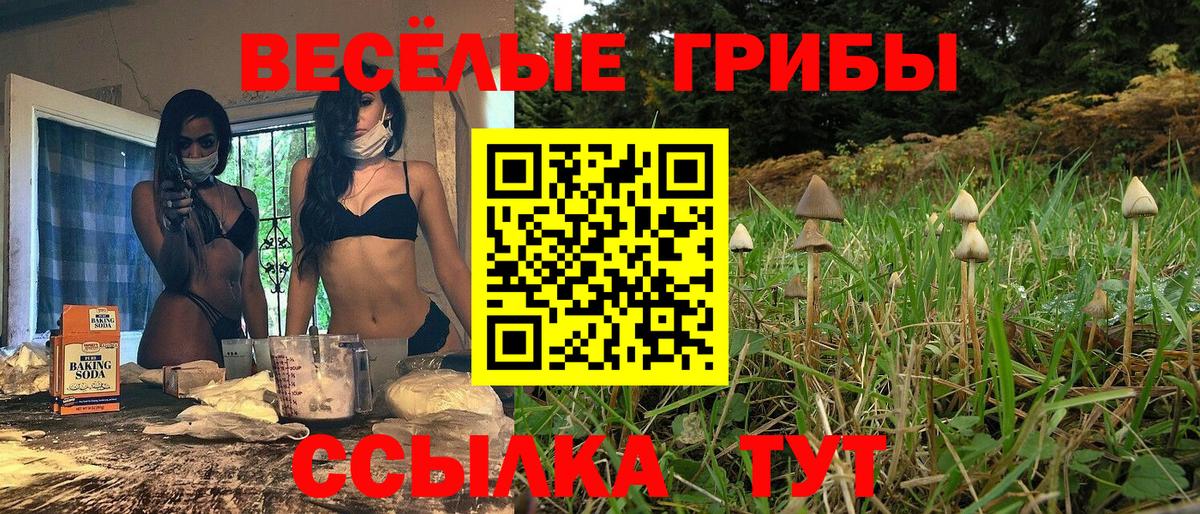 Псилоцибиновые грибы мухоморы Ярцево